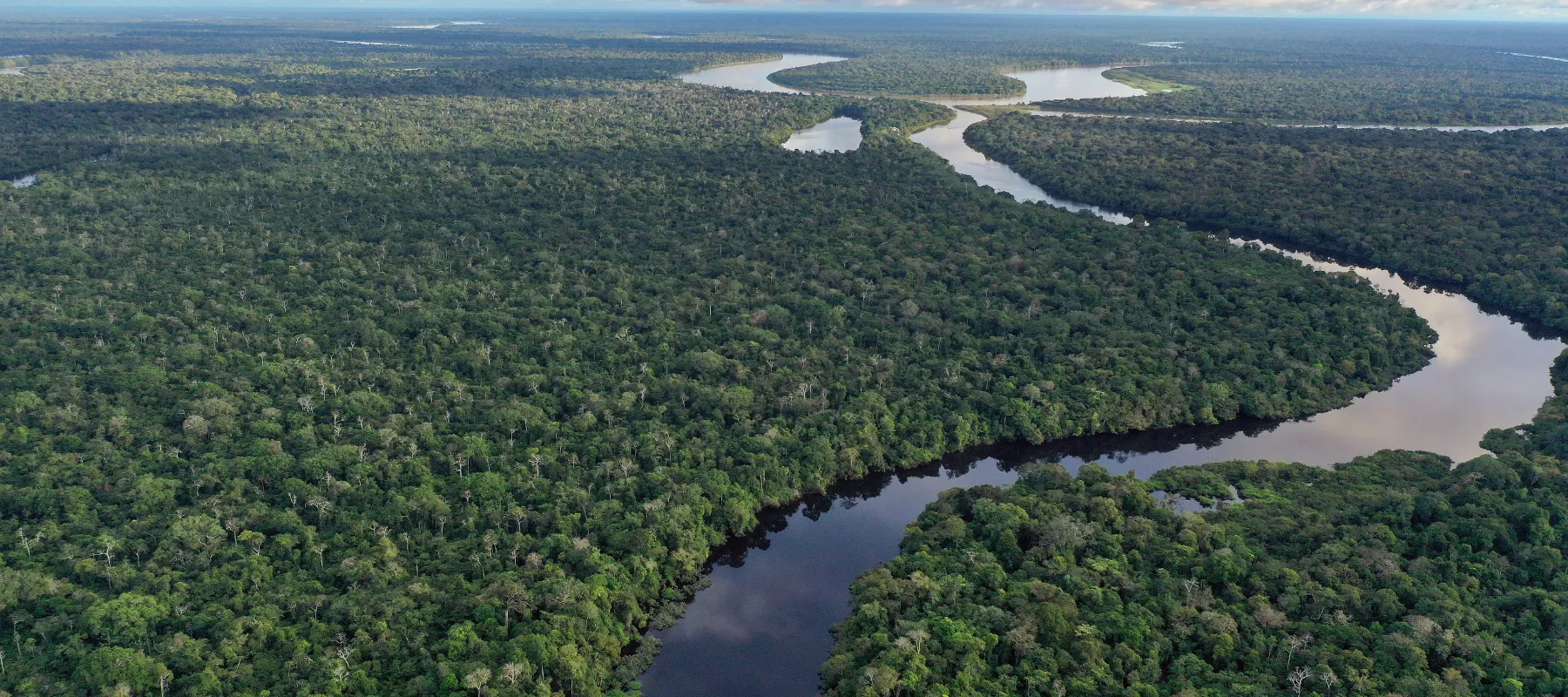 Amazon rainforest from above — river winding through the canopy