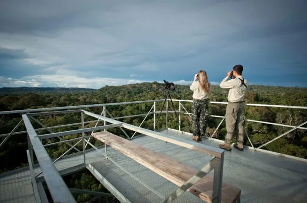 Scenic Viewpoint